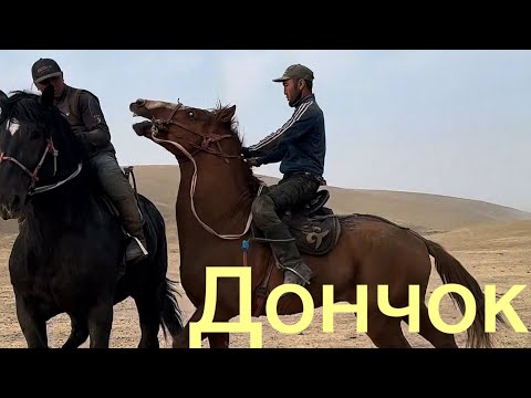 Видео: Оскон Акенин Дончаги +996-772-910-072. 3 ноября 2025 г.