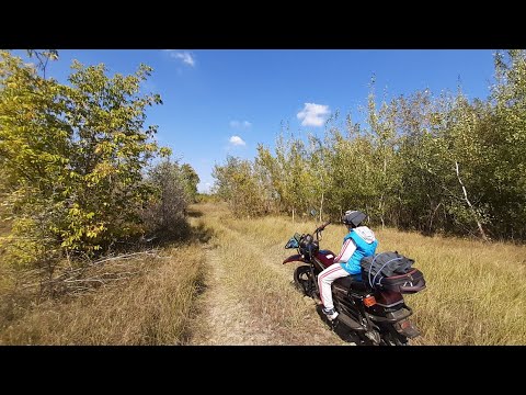 Видео: Обкатка Рейсер Турист в лесу