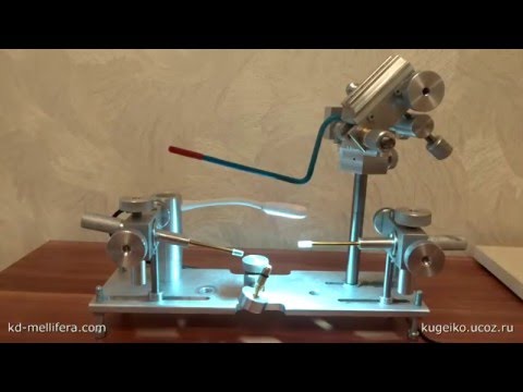 Видео: Станок Коновалова для инструментального осеменения пчелиных маток