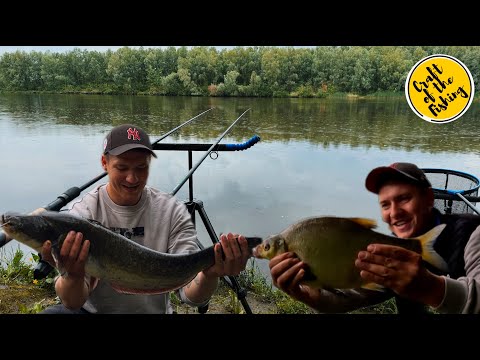 Видео: Сом на хробака під зливою! ⚡ Риболовля на Десні + бонус — лящ і снасті