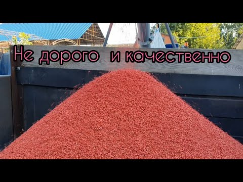 Видео: Протравитель бюджетный