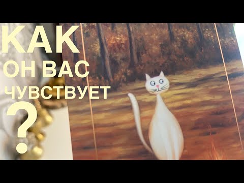Видео: Как он вас чувствует?