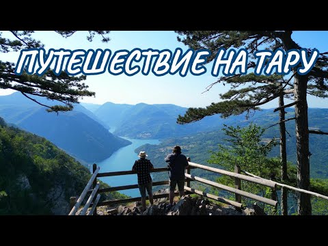 Видео: Путешествие на Тару. Смотровые площадки (видиковацы). Главные достопримечательности.