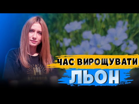 Видео: ВИГІДНИЙ ЛЬОН. ДЕШЕВО СІЯТИ, ДОРОГО ПРОДАТИ