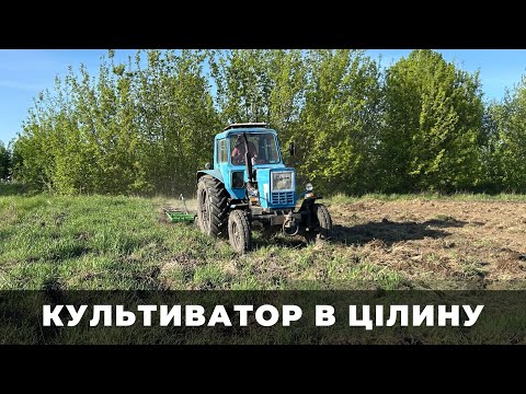 Видео: МТЗ грузне, КУЛЬТИВАТОР лізе ПО РАМУ. Розробялємо цілину після зими.