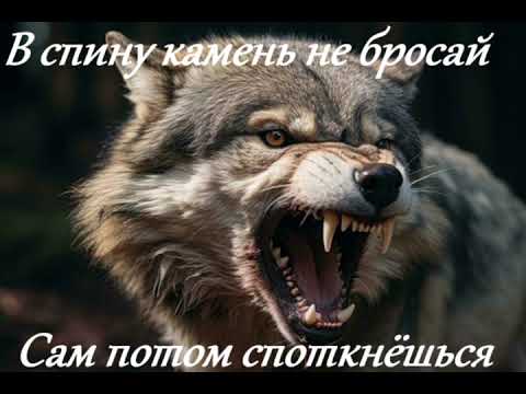 Видео: Garik Garik...в спину камень не бросай...