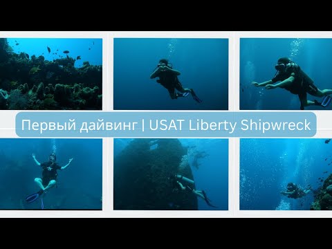 Видео: Мой первый дайвинг в Tulamben | USAT Liberty Shipwreck | Bali Vlog | День 30, Часть 1
