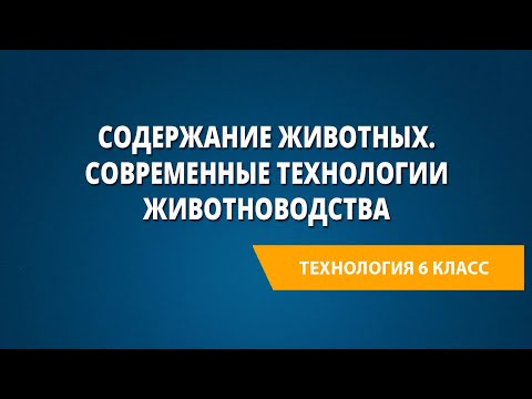 Видео: Содержание животных. Современные технологии животноводства