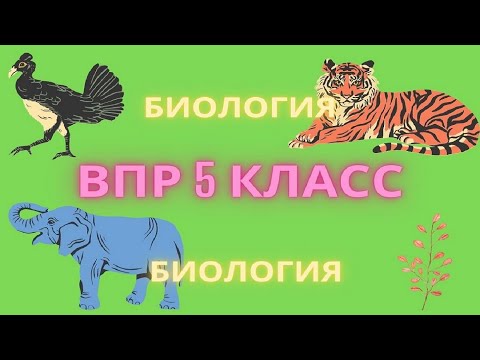 Видео: ВПР биология 5 класс 2021 демо версия