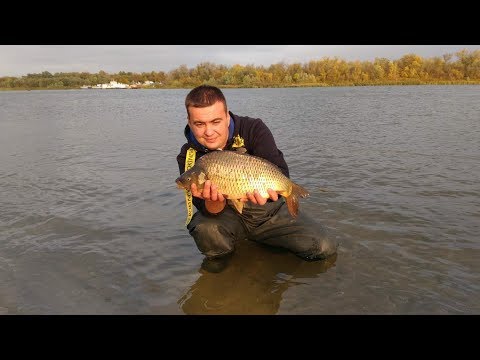 Видео: Рыбалка на реке,фидер,донка,зеркальный карпик (Дневник рыболова)