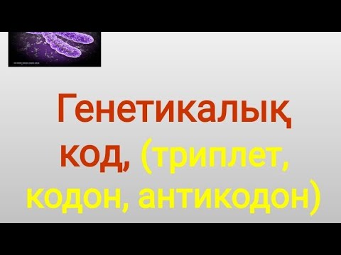 Видео: Генетикалық код (триплет, кодон, антикодон) Биология пәнінің мұғалімі Текебаев Е. С