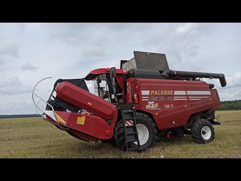 Видео: Всё пошло наперекосяк!Уборка комбайном Палесье GS-12A1