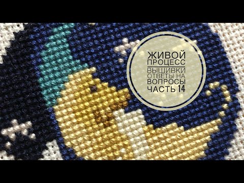 Видео: Живой процесс вышивки/Ответы на вопросы и комментарии/часть 14