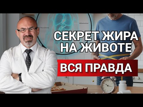 Видео: Почему у вас НЕ уходит жир с живота? Разоблачение иллюзий #ожирение #инсулин #печень