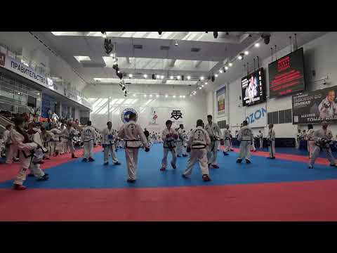 Видео: Tomaz Barada All Russia Seminar Taekwondo itf part 3 // Томас Барада Семинар Таеквондо МФТ Часть 3