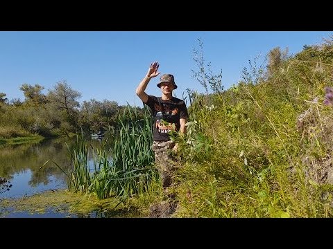 Видео: Рыбалка на поплавок в начале осени. Ловля рыбы на поплавок!