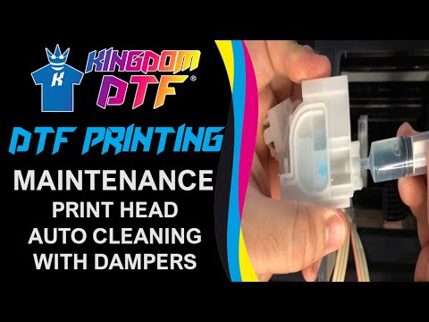 Видео: 🔧 Полное руководство по обслуживанию печатающей головки Epson L1800