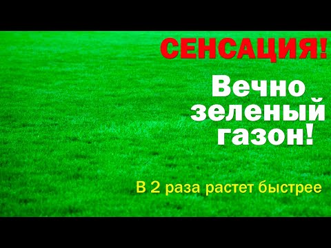 Видео: Идеальный газон. Новый способ выращивания.