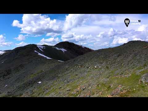 Видео: Наша Сибирь 4К: Сибирские горные козлы