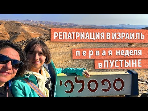 Видео: ПЕРВЫЕ ДНИ в ИЗРАИЛЕ. Впечатления нового репатрианта