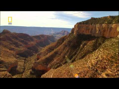 Видео: Гранд Каньон Колорадо. Grand Canyon Colorado