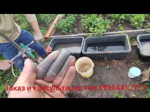 Видео: Битва за воду в глине, потерпела провал. Но возможно будет продолжение.