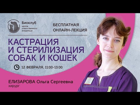 Видео: Кастрация и стерилизация собак и кошек