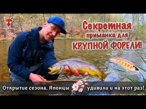 Видео: СЕКРЕТНАЯ ПРИМАНКА для крупной пеструшки. Весенняя ловля форели на спиннинг в реке.