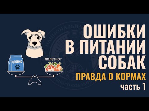 Видео: ПОЧЕМУ 90% СОБАК - АЛЛЕРГИКИ? Вся правда о сухих кормах, которую от вас скрывают | ЧАСТЬ 1