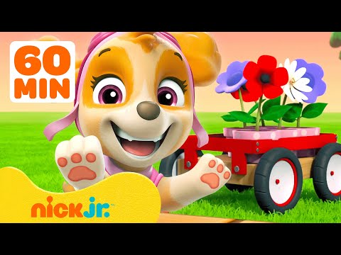 Видео: Щенячий патруль | Щенячий патруль выращивает растения и цветы! Со Скай | Nick Jr. Cyrillic