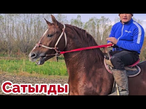 Видео: Пай Пай Паай Жаргак Чыкты✊️