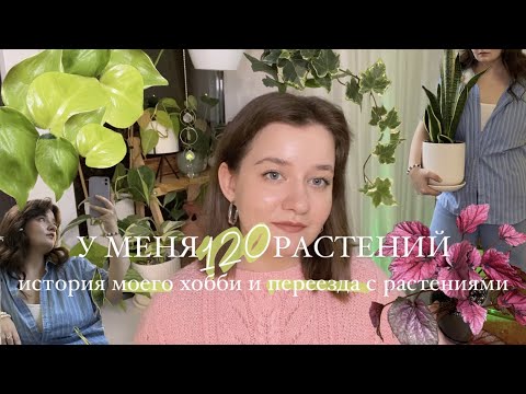 Видео: Как я дошла до того, что живу с 120 растениями || история моего хобби | переезд с растениями