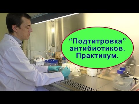 Видео: Антибиотики: определение чувствительности. Основные сведения