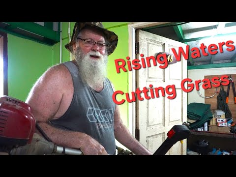 Видео: Найти спокойствие среди поднимающегося уровня воды в Таиланде