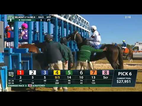 Видео: ГОНКА 3, Белмонт, The Big A, 16 ОКТЯБРЯ 25