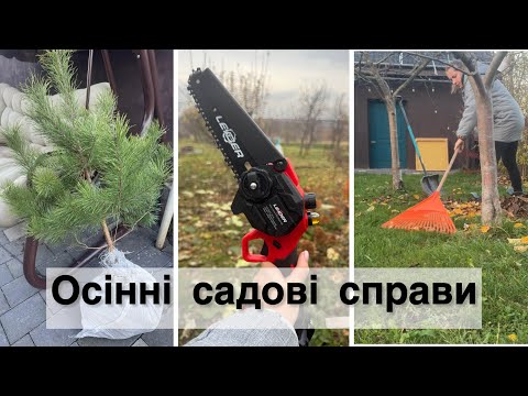 Видео: Осіння обрізка саду🪾Міні-пила🔥 Вечеря нашвидкоруч👍Про день піжами 🥺