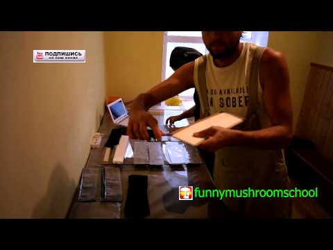 Видео: Вешенка Мешки для мицелия, изготовление и комментарии