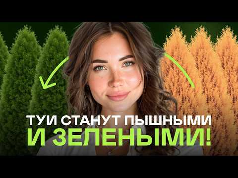 Видео: Почему Желтеют Туи? Просто Сделайте Эти 5 шагов!
