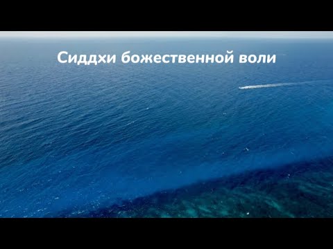 Видео: 40 генный ключ. Сиддхи божественной воли