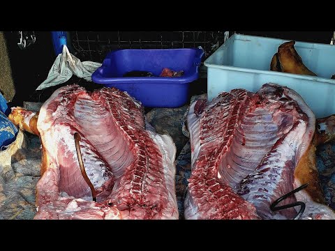 Видео: САЛО и МЯСО продаю как могу, какой выход мяса с одного кабана