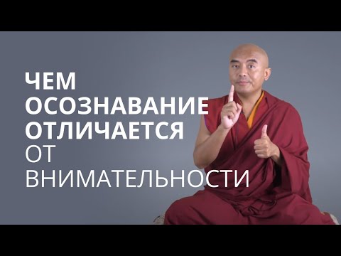 Видео: Чем осознавание отличается от внимательности — Йонге Мингьюр Ринпоче