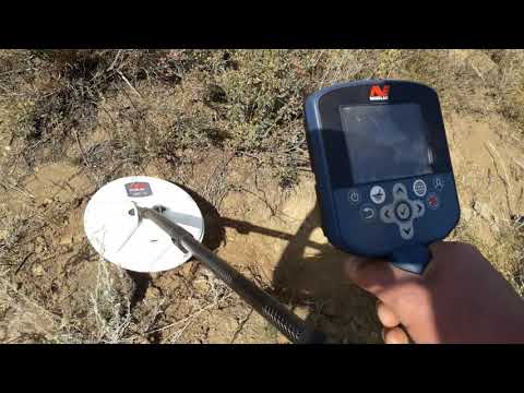 Видео: Металлоискатель GPZ 7000 поиск золота
