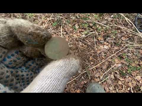 Видео: Разведка новых мест ! Встреча с глухарем ! Коп с эквинокс 900