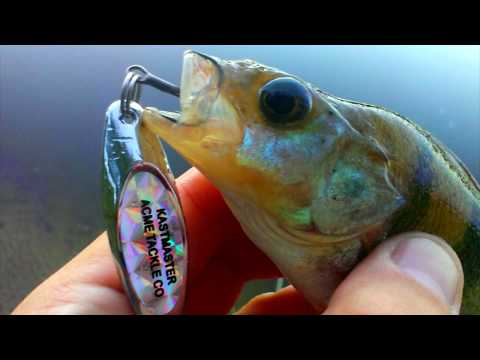 Видео: КИТАЙСКИЙ КАСТМАСТЕР ЛОВИТ РЫБУ!? Ловля на Десне, ч2. Судак на джиг. Окунь и язь на железо.