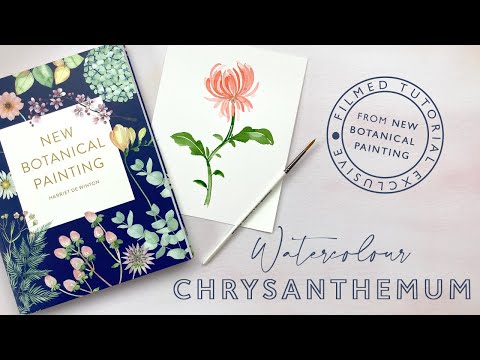 Видео: Как нарисовать акварельную хризантему