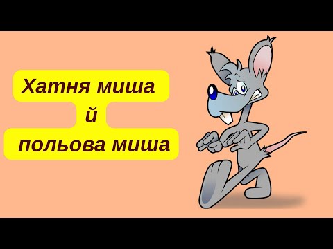 Видео: "Хатня миша й польова миша"