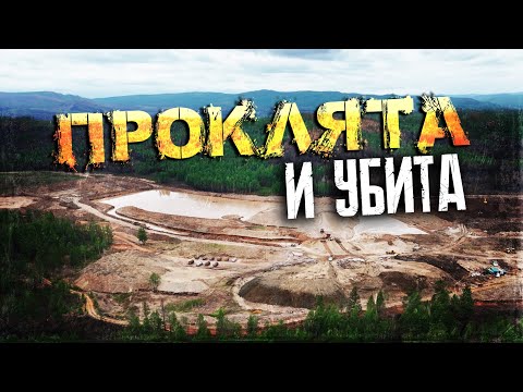 Видео: Китайские старатели в Забайкалье: чем все закончится?