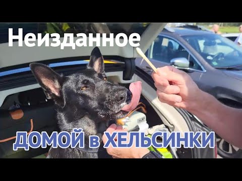 Видео: Возвращение в Хельсинки через Польшу | Путешествие на машине