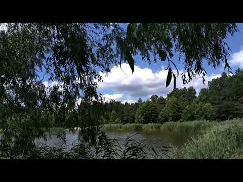 Видео: Красивое видео. Музыка из фильма Вечный зов.