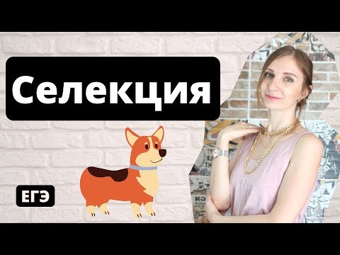 Видео: Селекция